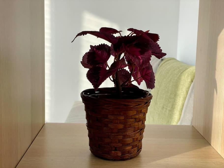 Appartement 73M2 - 2 Chambres - Parking - Wi-Fi Тулуза Екстериор снимка
