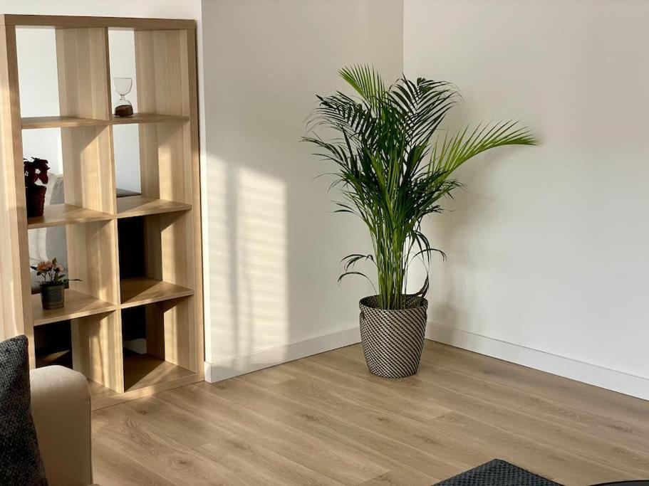 Appartement 73M2 - 2 Chambres - Parking - Wi-Fi Тулуза Екстериор снимка