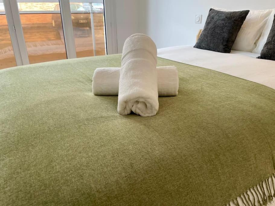 Appartement 73M2 - 2 Chambres - Parking - Wi-Fi Тулуза Екстериор снимка