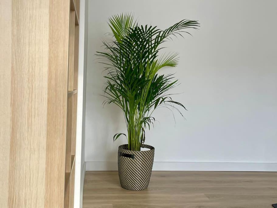 Appartement 73M2 - 2 Chambres - Parking - Wi-Fi Тулуза Екстериор снимка